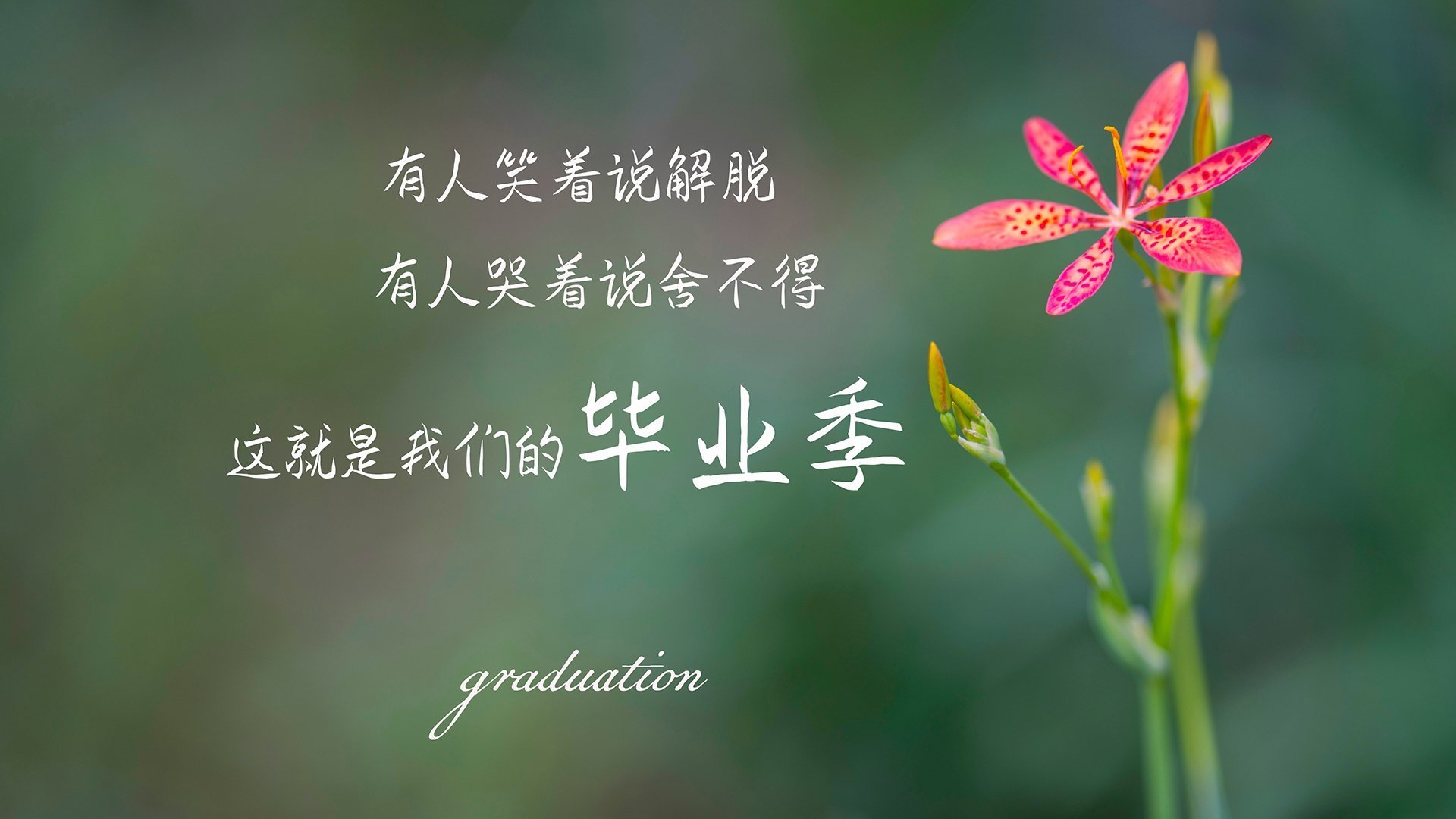 未来联盟：AI和大数据如何重新定义篮球比赛？，篮球大数据平台中国篮协