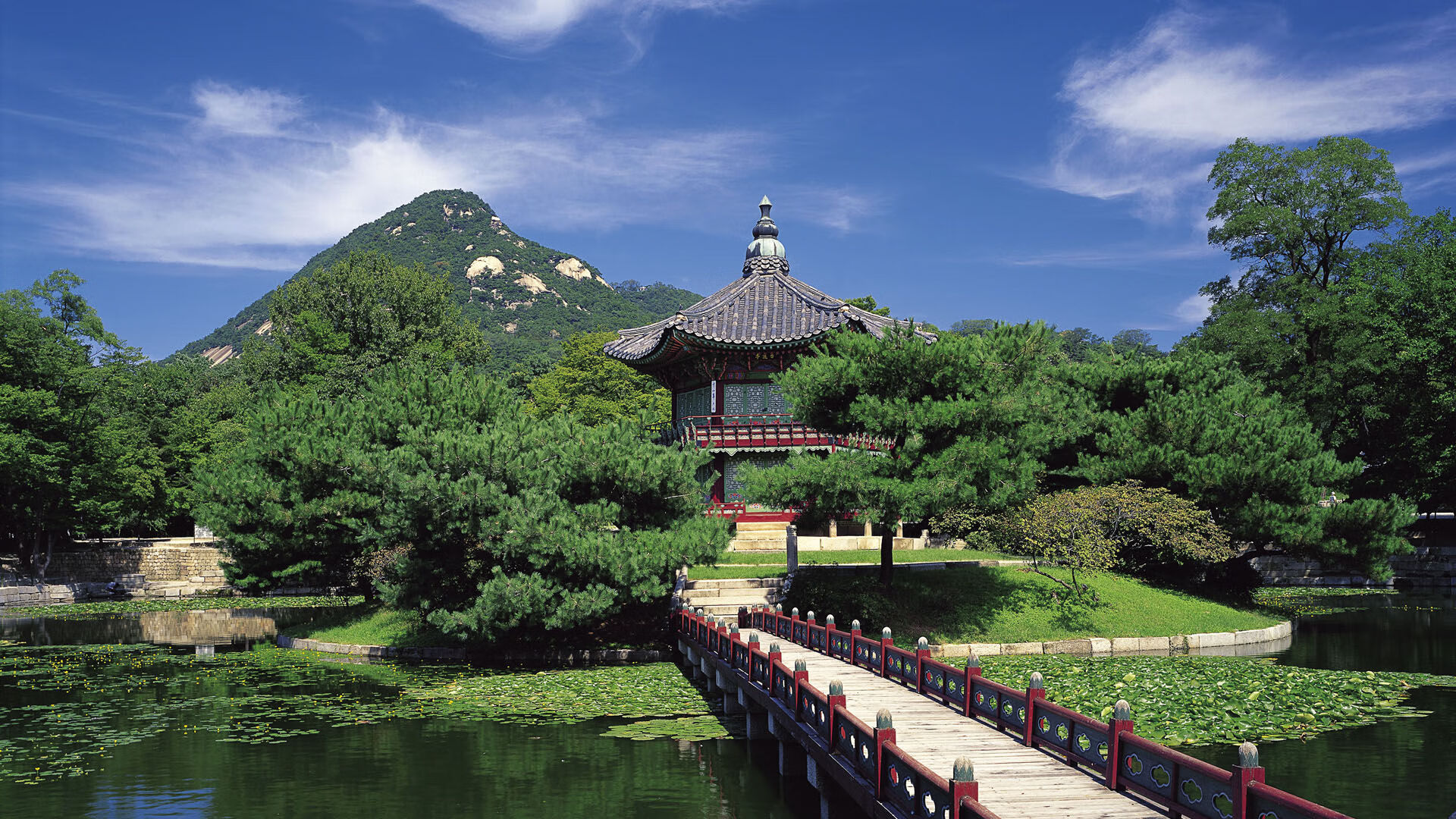 TL教练组调整战术方向，tl教练jatt