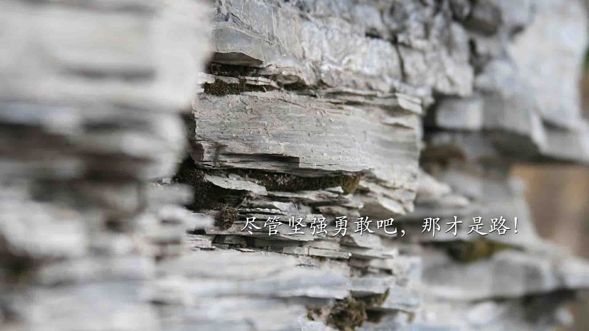 帕尔梅拉斯球员参加国际比赛，帕尔梅拉斯赛程500