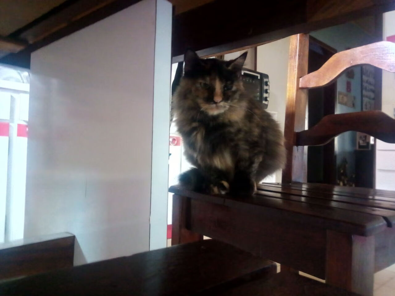 爱游戏正版-运动装备技术推广应用，运动装备设计