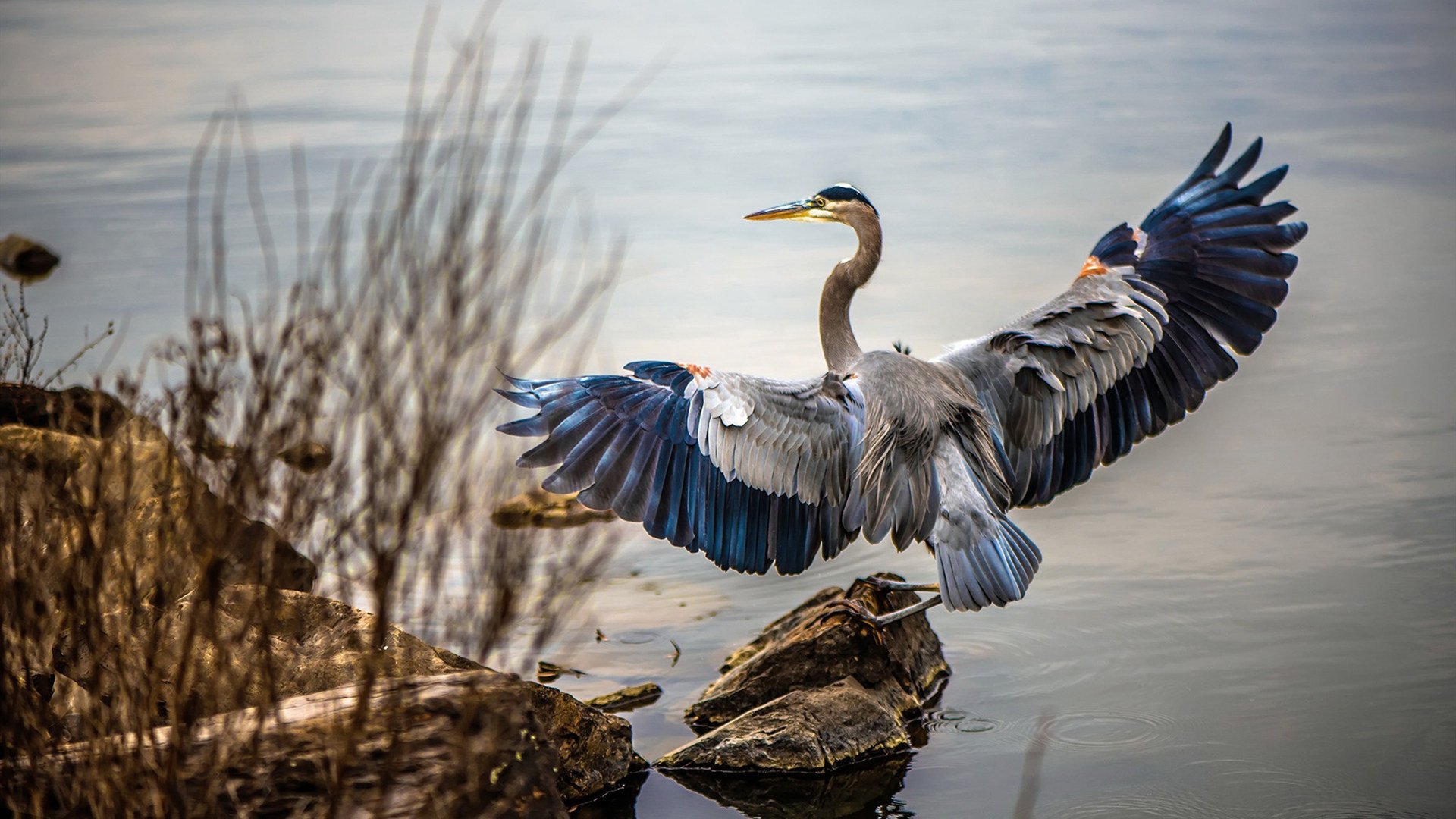 全运会筹备工作顺利进行，全运会备战的一些思路