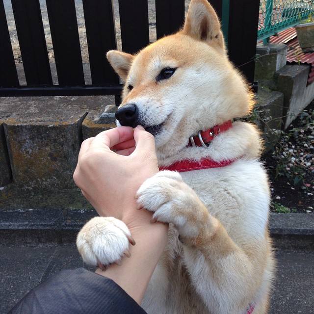 博卡缺乏中场调度核心