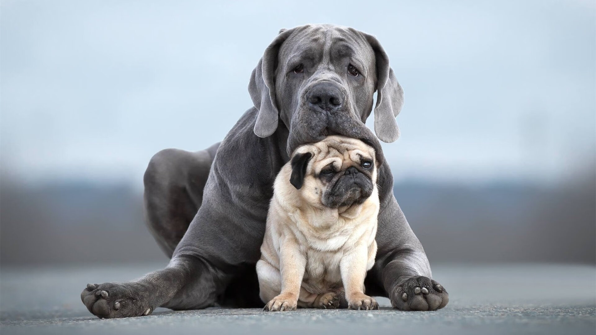 国际热身赛中国青年队战平 球迷期待未来突破，国际热身赛赛程