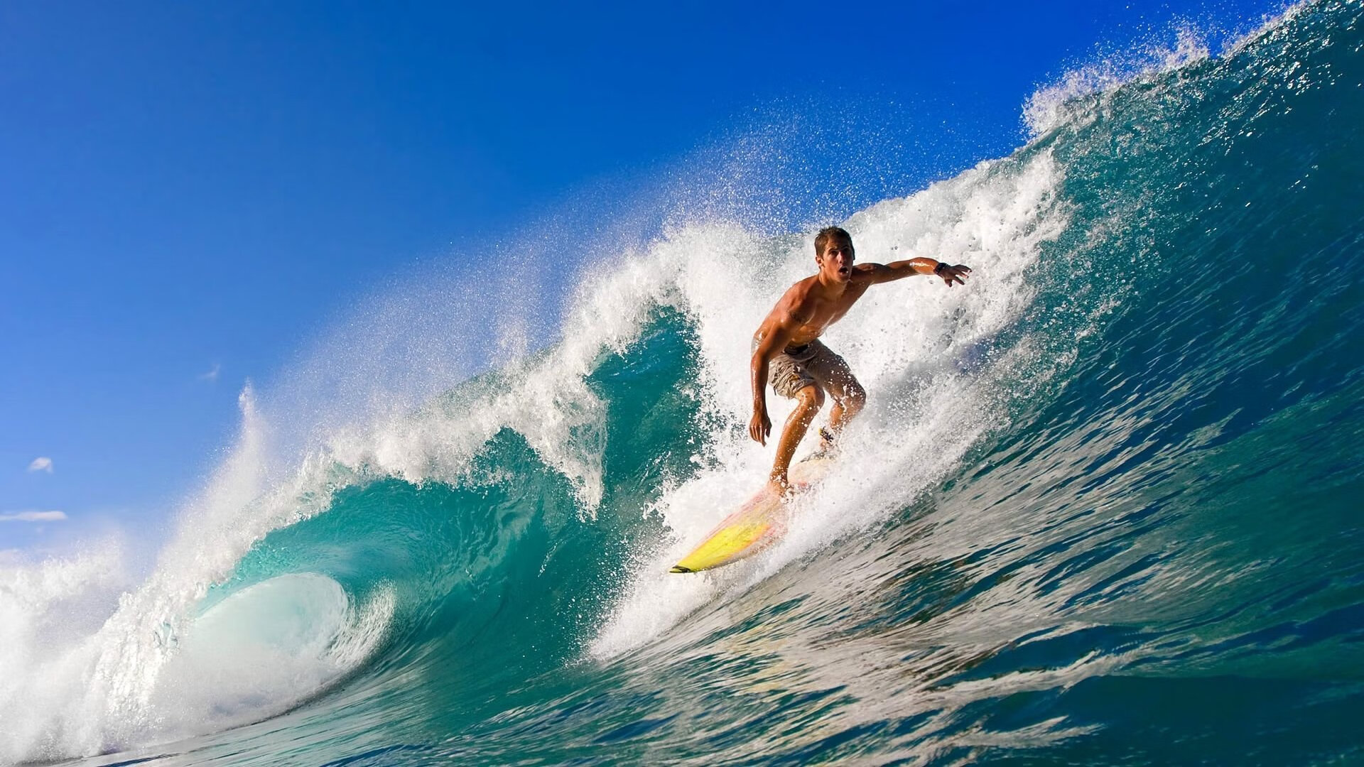 未来两年，联盟最值得关注的重大变化有哪些？，联盟发展规划